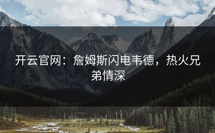 开云官网：詹姆斯闪电韦德，热火兄弟情深  第1张
