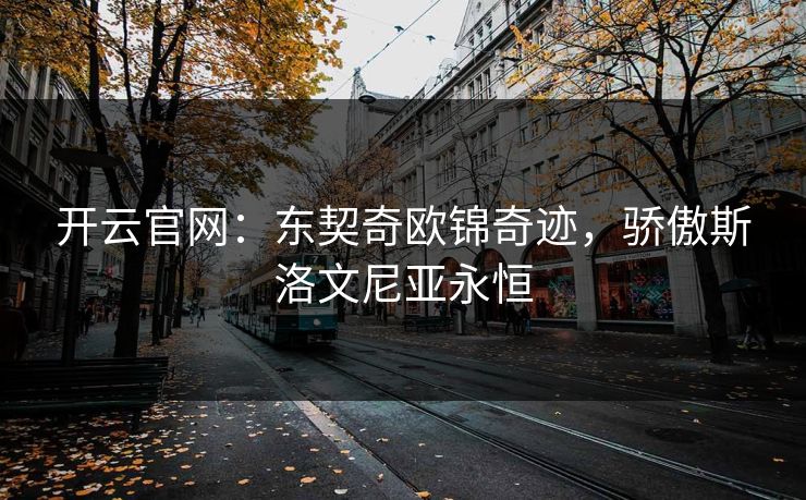 开云官网:东契奇欧锦奇迹,骄傲斯洛文尼亚永恒 第1张 开云官网:东契奇欧锦奇迹,骄傲斯洛文尼亚永恒 第1张